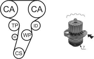 Airtex WPK-177403 - Pompe à eau + kit de courroie de distribution parts5.com