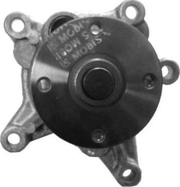 Aisin WPY-025 - Pompa apa parts5.com