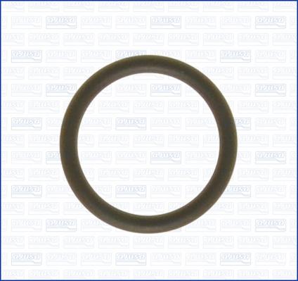 Ajusa 16019600 - Tesnilka, sesalni razdelilnik parts5.com