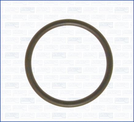 Ajusa 16023200 - Tesnilka, sesalni razdelilnik parts5.com