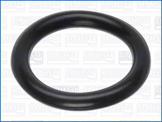 Ajusa 16072600 - Uszczelka, kolektor dolotowy parts5.com