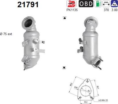 AS 21791 - Catalizator parts5.com