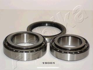 Ashika 44-19001 - Zestaw łożysk koła parts5.com