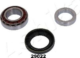 Ashika 44-29022 - Set rulment roata parts5.com