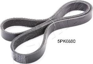 Ashika 112-5PK880 - V-Ribbed Belt parts5.com