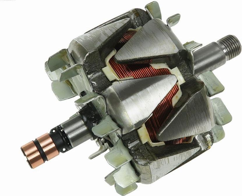 AS-PL AR0041 - Rotor,alternator parts5.com