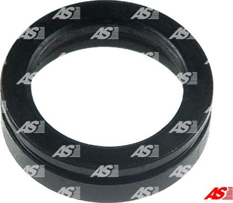 AS-PL SRS3032 - Repair Kit, starter parts5.com