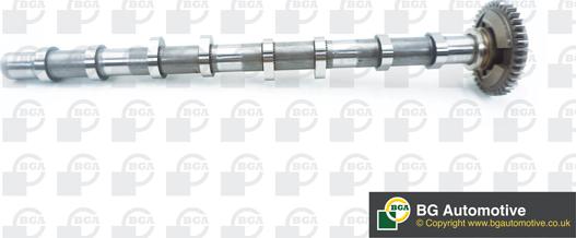 BGA CS0901 - Árbol de levas parts5.com