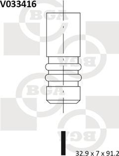 BGA V033416 - Supapa evacuare parts5.com