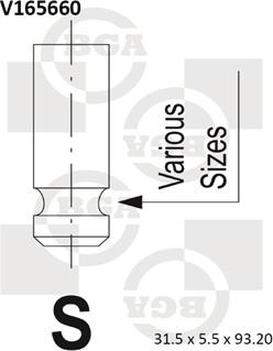 BGA V165660 - Supapa admisie parts5.com