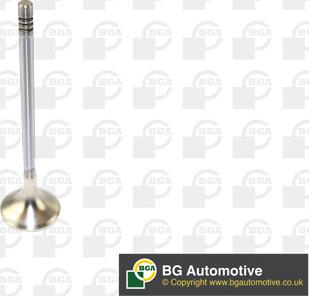 BGA V166211 - Výfukový ventil parts5.com