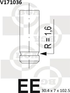 BGA V171036 - Supapa admisie parts5.com