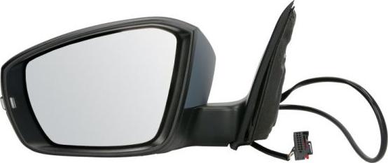 BLIC 5402-43-2002353P - Retrovisor exterior parts5.com