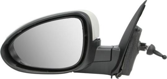 BLIC 5402-56-013345P - Retrovisor exterior parts5.com