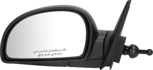 BLIC 5402-04-1112575P - Retrovisor exterior parts5.com