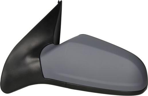 BLIC 5402-04-1139235P - Outside Mirror parts5.com