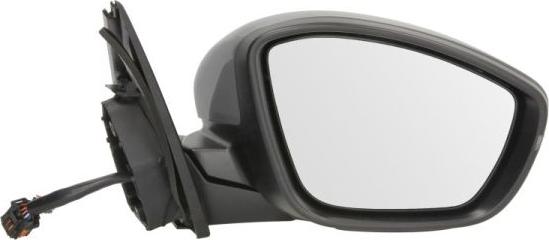 BLIC 5402-08-2002088P - Retrovisor exterior parts5.com