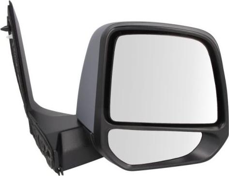 BLIC 5402-03-2001244P - Retrovisor exterior parts5.com