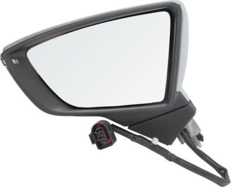 BLIC 5402-10-2002301P - Retrovisor exterior parts5.com