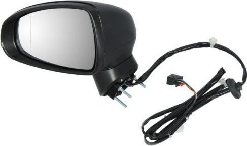 BLIC 5402-25-044367P - Retrovisor exterior parts5.com