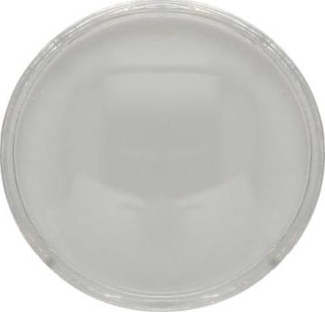 BLIC 5410-43-1330105P - Diffusing Lens, headlight parts5.com