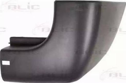 BLIC 5506002510962P - Tampon parts5.com