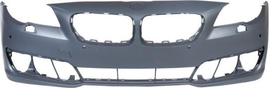 BLIC 5510-00-0067909P - Bumper parts5.com