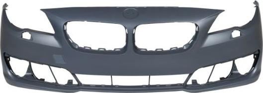 BLIC 5510-00-0067908P - Bumper parts5.com