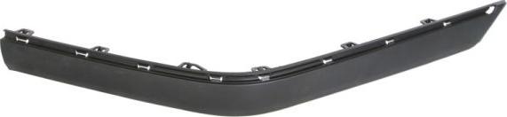 BLIC 5703-05-5536976P - Trim - Protective Strip, bumper parts5.com