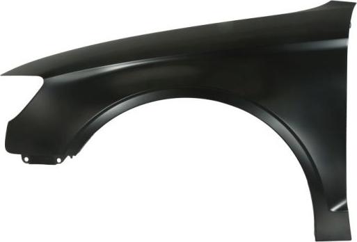 BLIC 6504-04-0027315P - Błotnik parts5.com