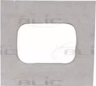 BLIC 6508029522522P - Panou lateral parts5.com