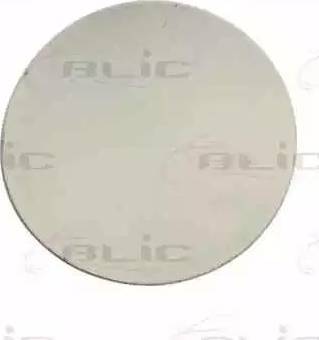 BLIC 6508022565510P - Balama, clapeta rezervor parts5.com