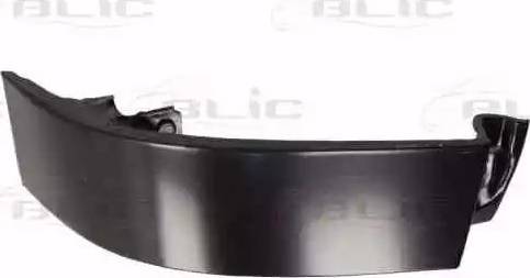 BLIC 6503052936672P - Panou spate parts5.com