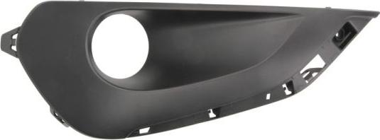 BLIC 6502-07-5509915Q - Trim - Protective Strip, bumper parts5.com