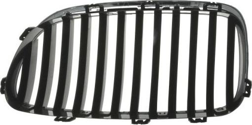 BLIC 6502-07-0067994Q - Radiator Grille parts5.com