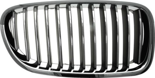 BLIC 6502-07-0067994Q - Radiator Grille parts5.com