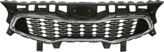 BLIC 6502-07-3268990P - Grila radiator parts5.com