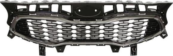 BLIC 6502-07-3268991P - Grila radiator parts5.com