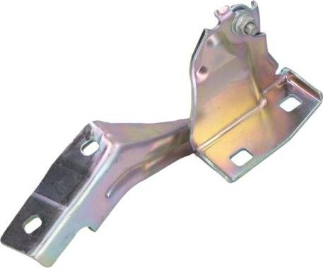 BLIC 6003-00-0385P - Zsanér, motorházfedél parts5.com