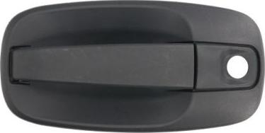 BLIC 6010-09-041401P - Door Handle parts5.com