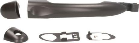 BLIC 6010-09-059405P - Door Handle parts5.com