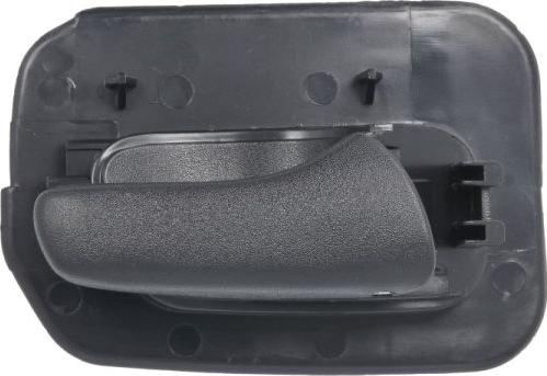 BLIC 6010-04-004408TP - Door Handle parts5.com