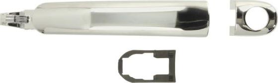 BLIC 6010-10-010401PP - Door Handle parts5.com