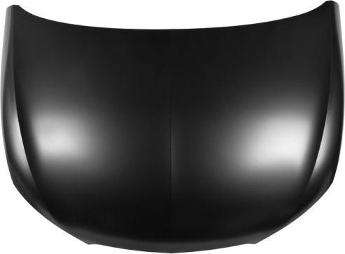 BLIC 6803-00-6621281P - Bonnet, hood parts5.com