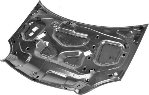 BLIC 6803-00-6010281P - Motorházfedél parts5.com