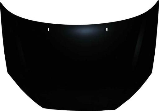 BLIC 6803-00-2532280P - Bonnet, hood parts5.com