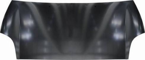 BLIC 6803-00-2029280Q - Bonnet, hood parts5.com