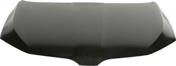 BLIC 6803-00-7522281Q - Bonnet, hood parts5.com