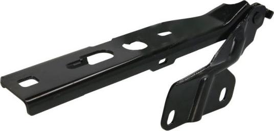 BLIC 6802-00-0033451P - Závěs, kapota motoru parts5.com