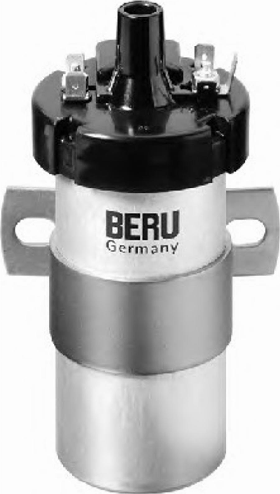 BorgWarner (BERU) 0 040 100 123 - Bobina de inductie parts5.com